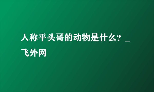 人称平头哥的动物是什么？_飞外网