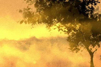 4部贺岁大片上映 2020年春节档电影有哪些