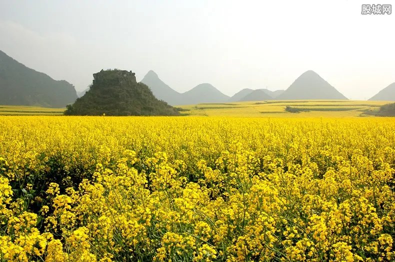 清明自驾游去哪里好玩 2019旅游好去处推荐!