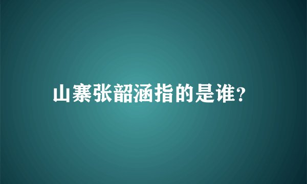 山寨张韶涵指的是谁？