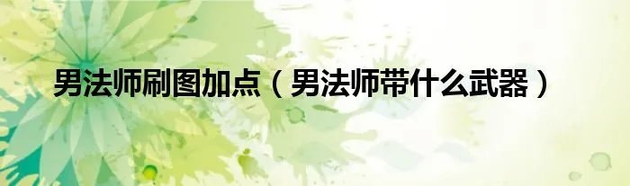 男法师刷图加点（男法师带什么武器）