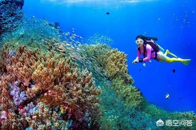 热浪岛旅游攻略有哪些？