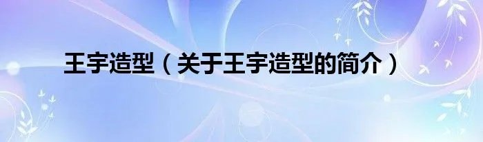 王宇造型（关于王宇造型的简介）