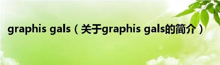 graphis gals（关于graphis gals的简介）