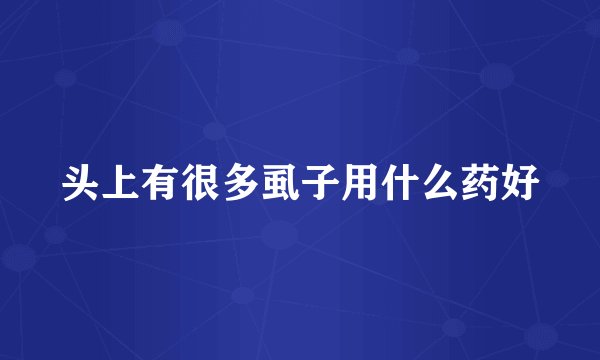 头上有很多虱子用什么药好