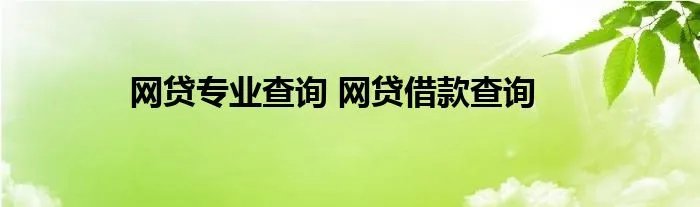 网贷专业查询 网贷借款查询