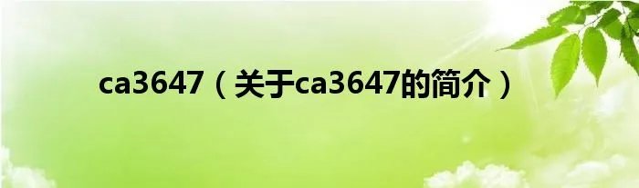 ca3647（关于ca3647的简介）
