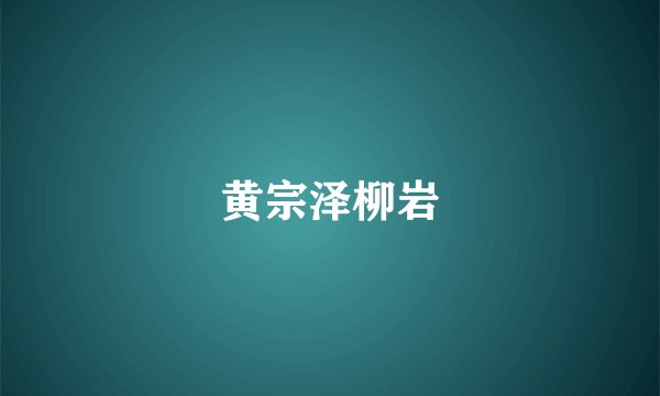 黄宗泽柳岩