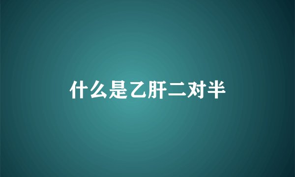 什么是乙肝二对半