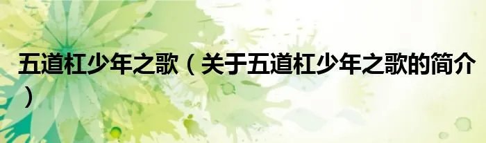 五道杠少年之歌（关于五道杠少年之歌的简介）