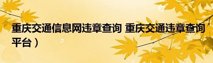 重庆交通信息网违章查询 重庆交通违章查询平台）