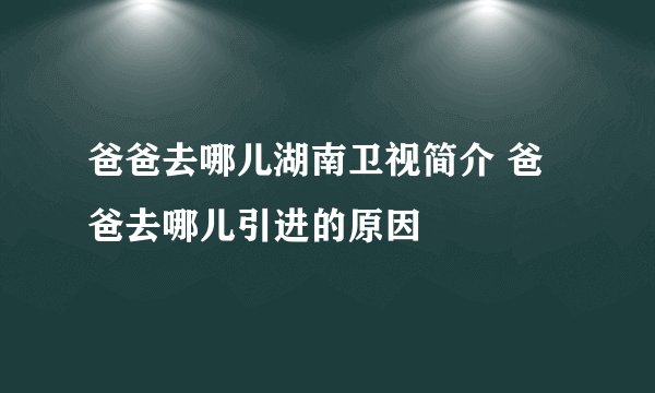 爸爸去哪儿湖南卫视简介 爸爸去哪儿引进的原因