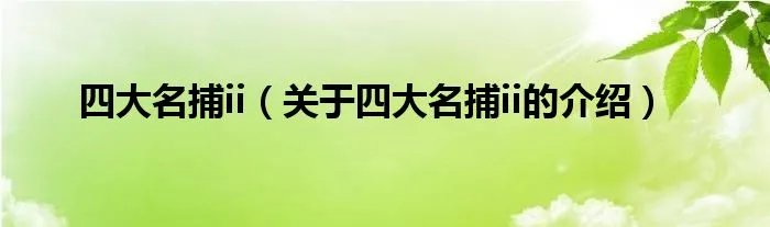 四大名捕ii（关于四大名捕ii的介绍）