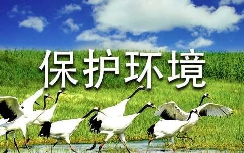 我要保护环境的宣传语