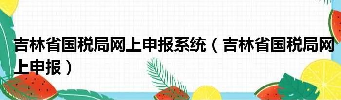 吉林省国税局网上申报系统（吉林省国税局网上申报）