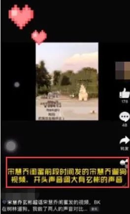网友偶遇玄彬宋慧乔散步遛狗:这网友真是分析高手