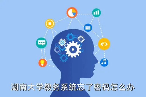 湖大教务系统,湖南大学教务系统