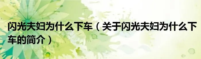 闪光夫妇为什么下车(关于闪光夫妇为什么下车的简介)