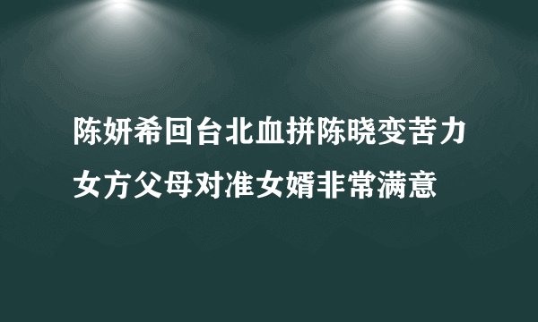 陈妍希回台北血拼陈晓变苦力女方父母对准女婿非常满意