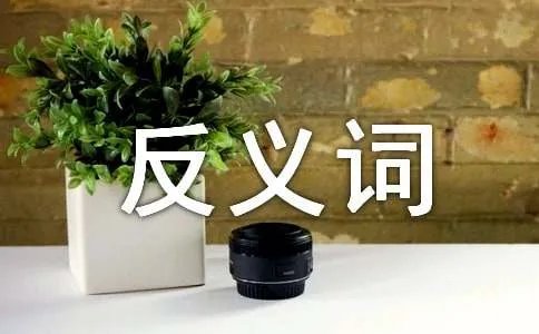 真挚的近义词和反义词