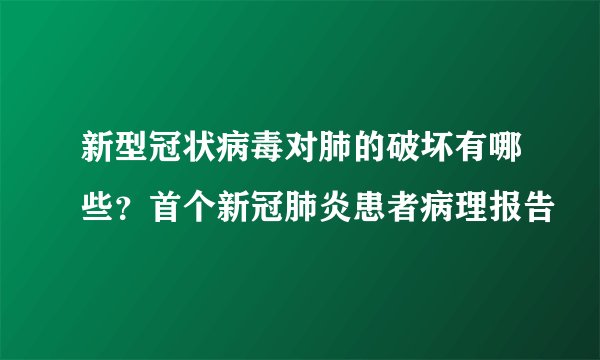 新型冠状病毒对肺的破坏有哪些?首个新冠肺炎患者病理报告
