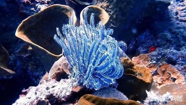 热浪岛旅游攻略有哪些？