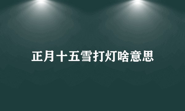 正月十五雪打灯啥意思