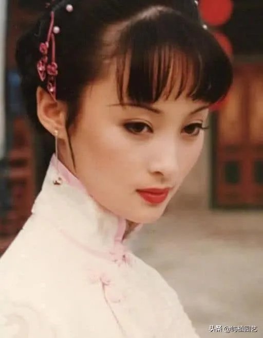 蒋勤勤演过哪些好看的电视剧?