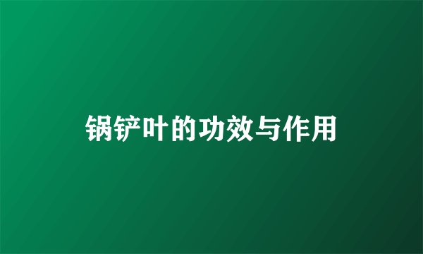 锅铲叶的功效与作用