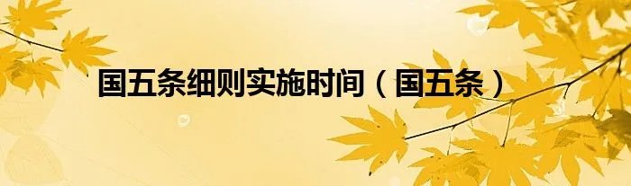 国五条细则实施时间（国五条）