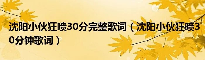 沈阳小伙狂喷30分完整歌词（沈阳小伙狂喷30分钟歌词）