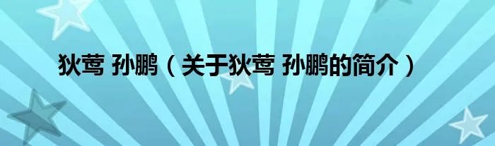 狄莺 孙鹏(关于狄莺 孙鹏的简介)