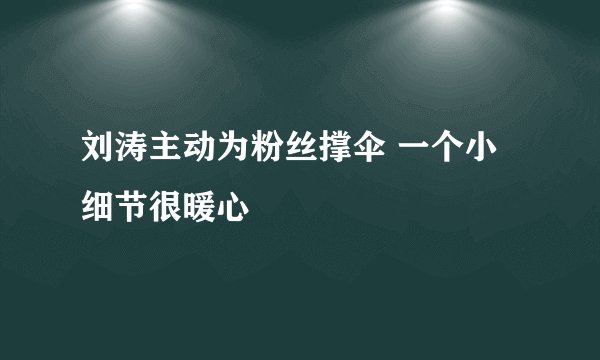 刘涛主动为粉丝撑伞 一个小细节很暖心