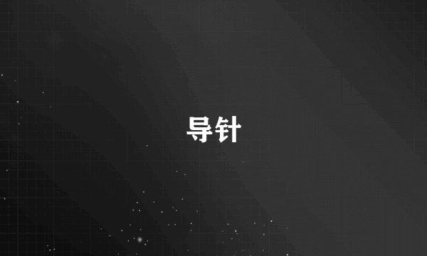 导针