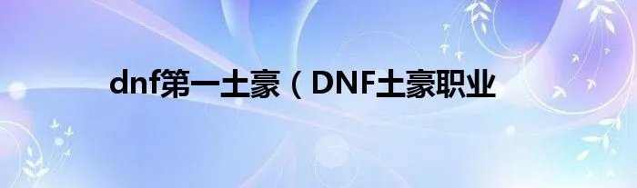 dnf第一土豪(DNF土豪职业
