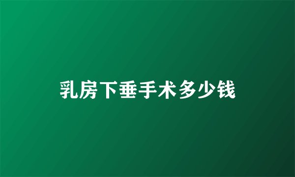 乳房下垂手术多少钱