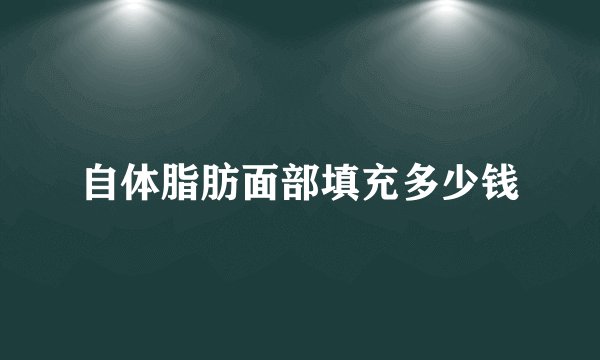 自体脂肪面部填充多少钱