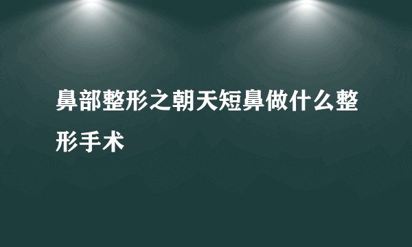 鼻部整形之朝天短鼻做什么整形手术