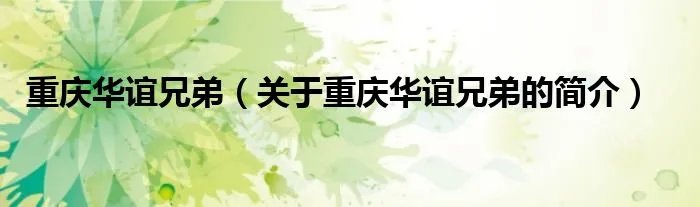 重庆华谊兄弟（关于重庆华谊兄弟的简介）