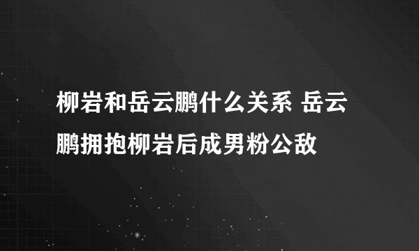 柳岩和岳云鹏什么关系 岳云鹏拥抱柳岩后成男粉公敌