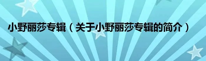 小野丽莎专辑（关于小野丽莎专辑的简介）