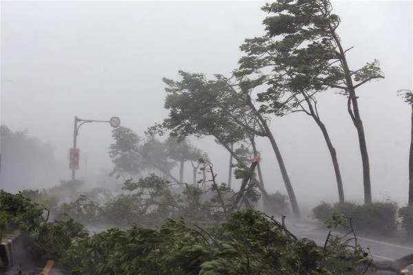 台风“森拉克”生成了，这个名字有什么意义？