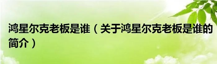 鸿星尔克老板是谁（关于鸿星尔克老板是谁的简介）