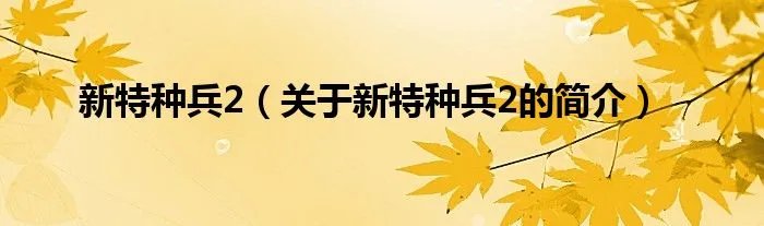 新特种兵2（关于新特种兵2的简介）
