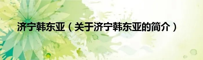 济宁韩东亚（关于济宁韩东亚的简介）
