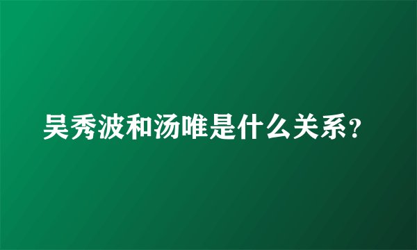 吴秀波和汤唯是什么关系？