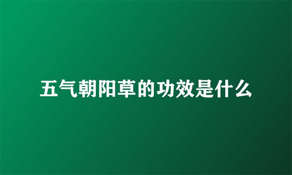五气朝阳草的功效是什么