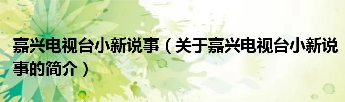 嘉兴电视台小新说事（关于嘉兴电视台小新说事的简介）