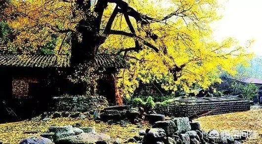 水没坪村
