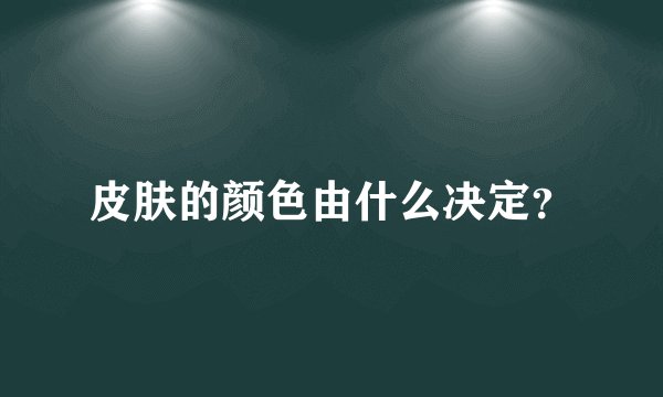 皮肤的颜色由什么决定？